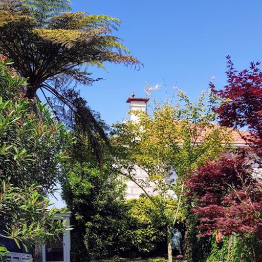 Casa Magda Daire Vigo Dış mekan fotoğraf